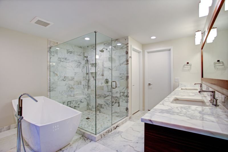 Contemporary Master Bath